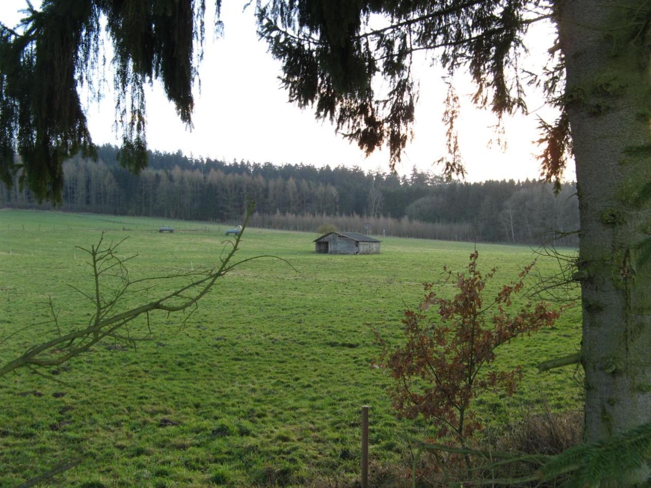 Ferienwohnung Prior Bad Emstal Exterior foto